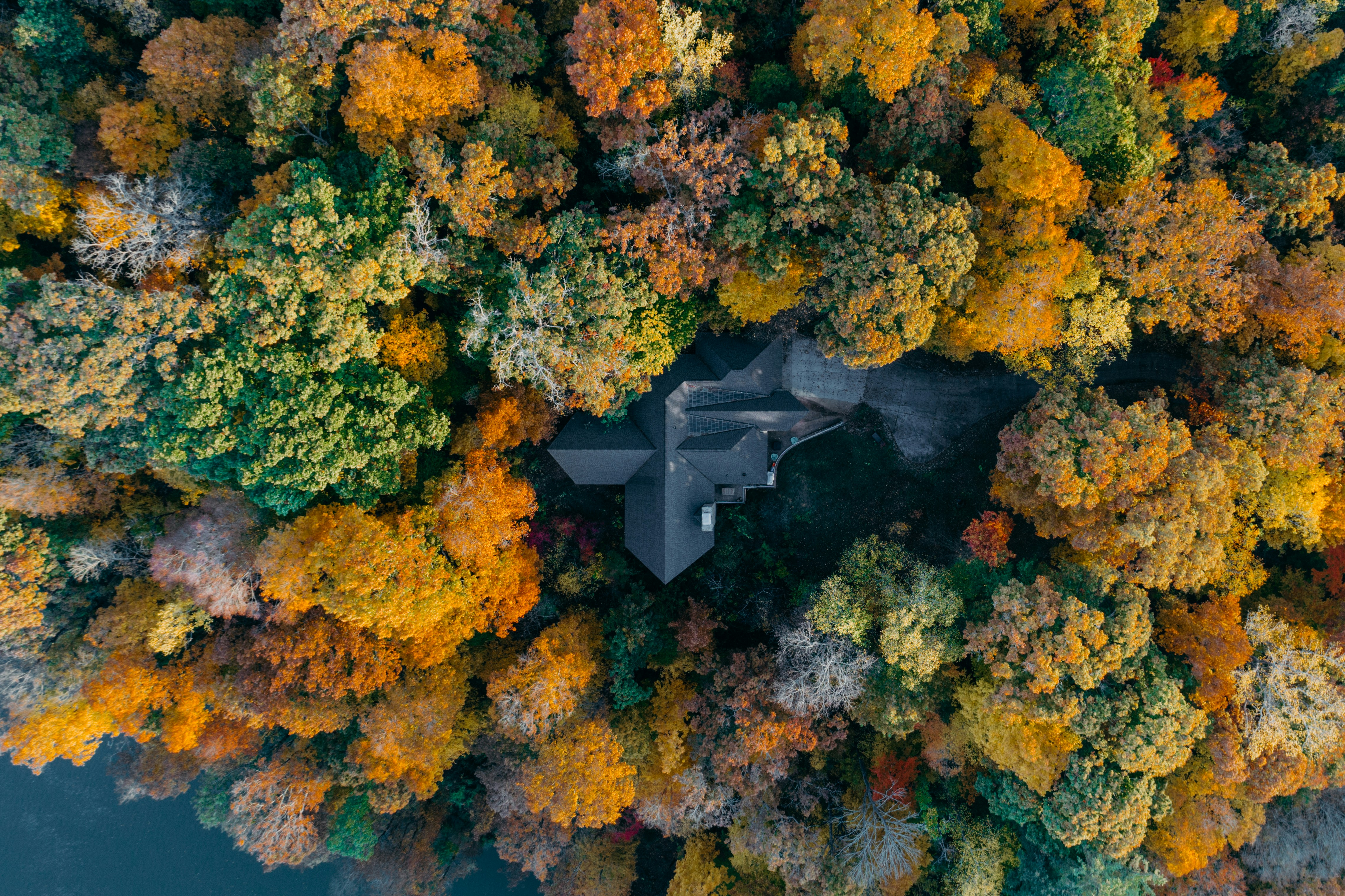 Bird's Eye View of House in trees by Nathan Anderson on Unsplash